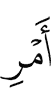 (the) command