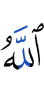 And Allah increases