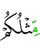 like you,