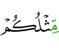 like you,