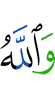 And Allah