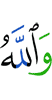 while Allah,