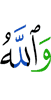 And Allah