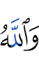 but Allah