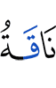 (is) a she-camel