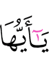 O Prophet!