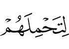 that you provide them with mounts,