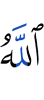 and Allah will see